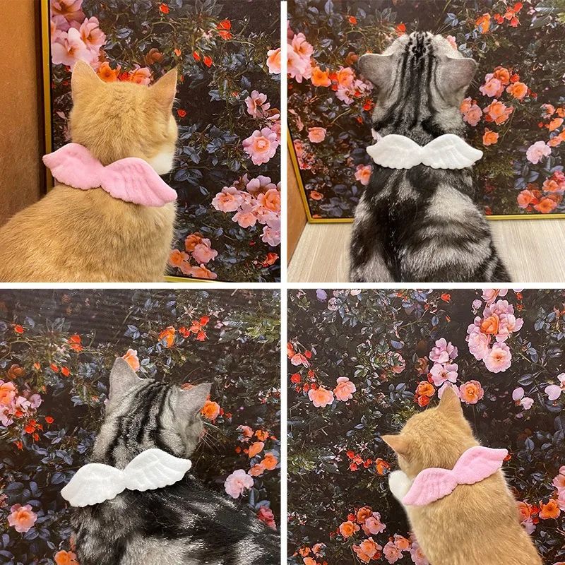 New Cat Fancy Collar Angel Wings