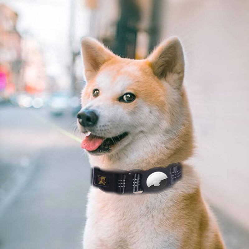 Pet Collar with Tracker Holder